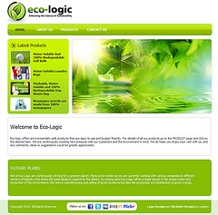 low cost website design